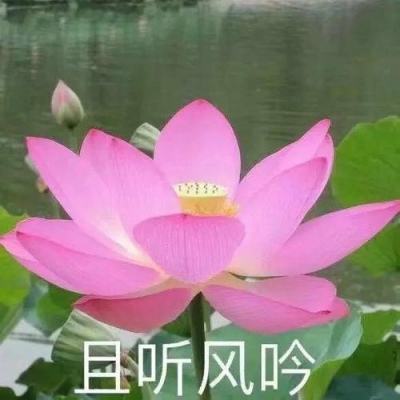 果盘艾尔多战记手游下载